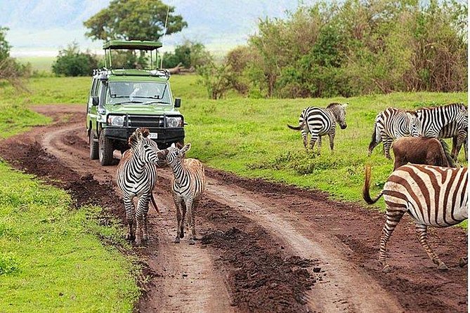 6Days Amboseli, Lake Nakuru and Masai Mara Camping Safari on Jeep - Pricing and Reviews