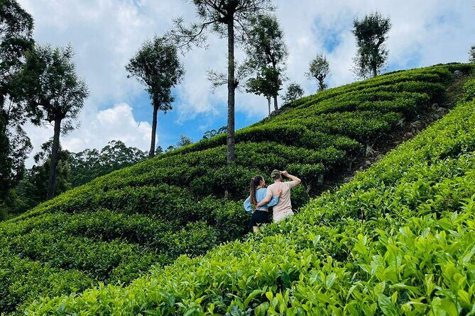 6Days Hill country Private Tour in Sri Lanka - Final Thoughts