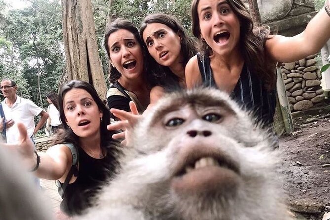 6h Private Tour in Ubud: Rice Terrace Swing, Temple, Waterfall - Itinerary Highlights