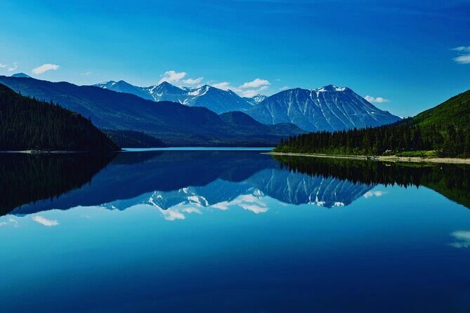 6hr Custom Private Tour of Ketchikan (4 People) Wildlife + More - Detailed Breakdown of the Itinerary