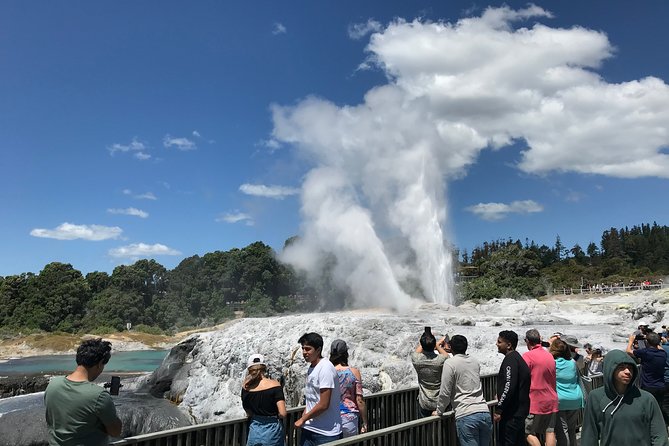 6hr Rotorua Geothermal Wonderland Tour - Departs Tauranga - Positive Customer Feedback
