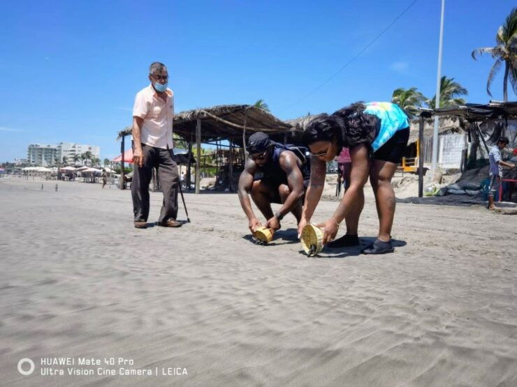 .6Hr Tour Diving Show Baby Turtle Release & All Attractions - Good To Know