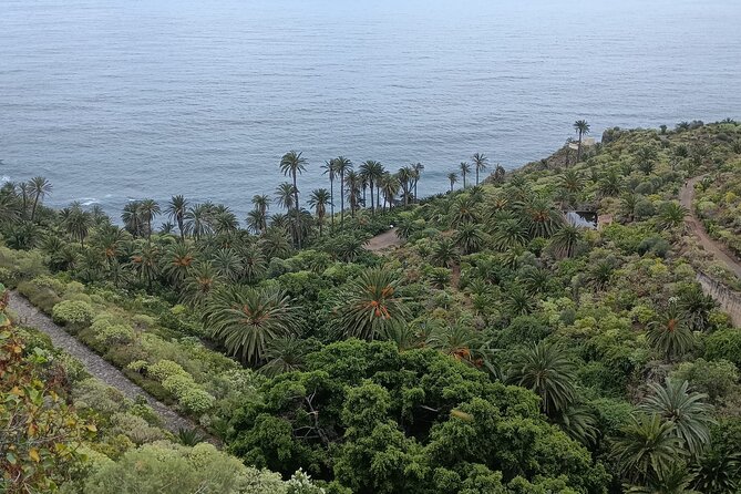 6hrs Private Tour in North Coast of Tenerife - The Sum Up