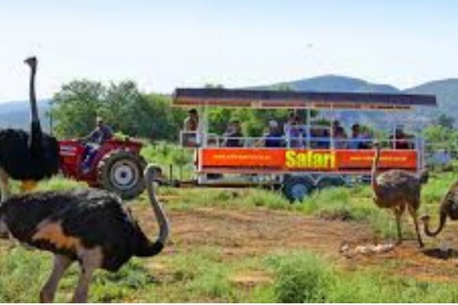 7- 10 Days Tour Package Cape Town and Garden Route - Excluded Activities