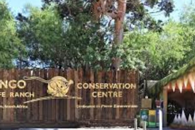 7- 10 Days Tour Package Cape Town and Garden Route - Common Questions