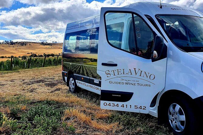 7- 8 Hour StelaVino Guided Wine Tours From Hobart, Tasmania - What About the Drawbacks?