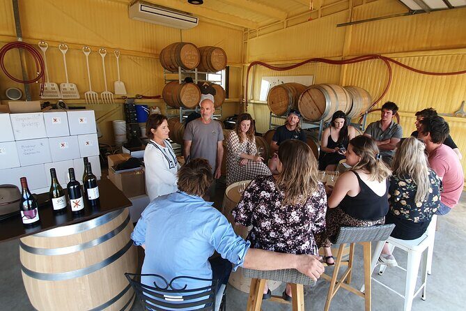 7- 8 Hour StelaVino Guided Wine Tours From Hobart, Tasmania - Final Words