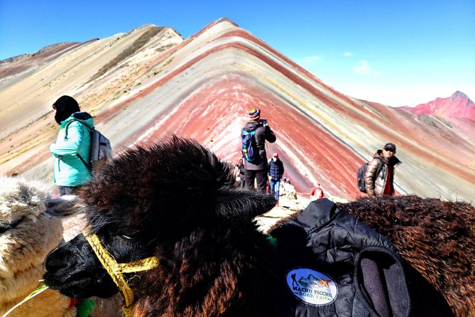 7 Colors Mountain Tour - Vinicunca - Tour Details