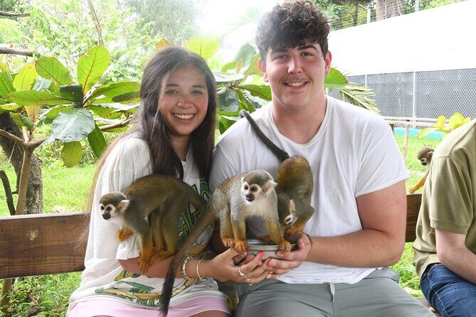 7 Damajagua & Monkey Home Tours waterfalls - Conquering the 27 Waterfalls of Damajagua