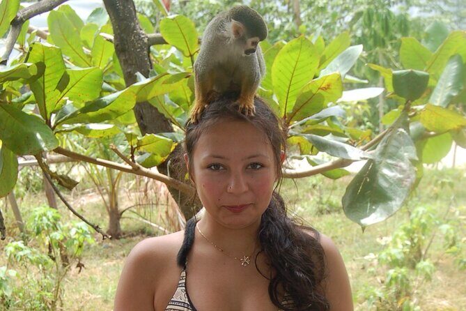 7 Damajagua & Monkey Home Tours waterfalls - Practical Details: What to Expect