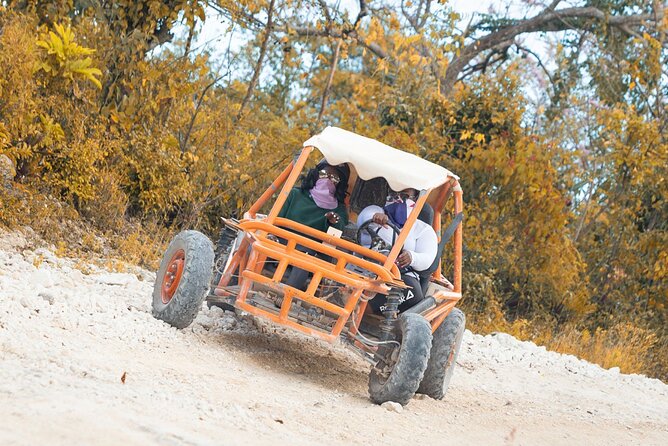 7-Day Adventure Tour in Punta Cana With Pickup - Tour Itinerary
