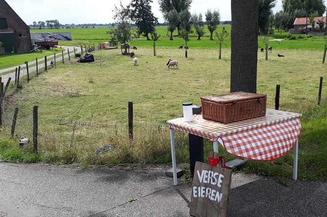7 Day All Inclusive E-Bike Trip in the Netherlands - Scenic Routes and Landmarks