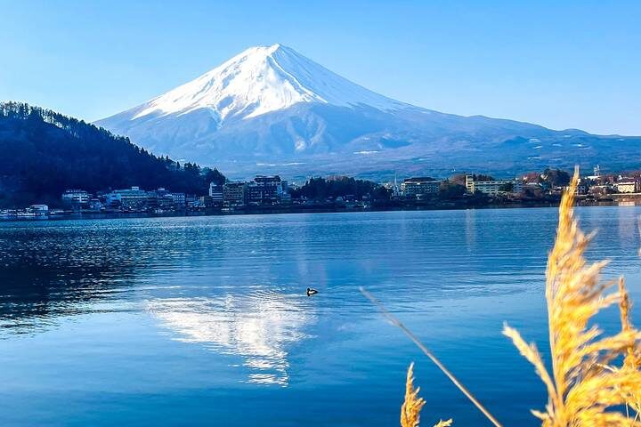7-Day Best Japan Mini Group Tour with 3/4 Stars Hotels by Agate Travel - What the price covers, and what it leaves to you