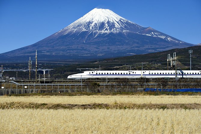 7-Day Best Japan Tour - Accommodation and Services