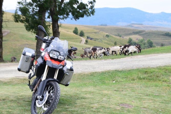 7 Day Best of Transylvania Motorcycle Tour From Cluj - Frequently Asked Questions