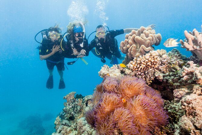 7 Day Brisbane to Cairns Boutique Whitsundays Great Barrier Reef - Starting in Brisbane: The Laidback Aussie Capital