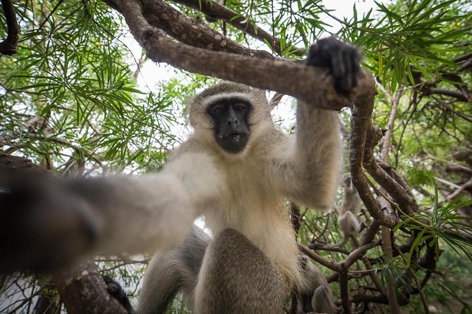7 Day Classic Kruger National Park Safari - Cancellation Policy