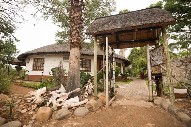 7 Day Classic Kruger National Park Safari - Traveler Reviews and Price Information