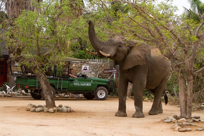 7 Day Classic Kruger National Park Safari - Common Questions