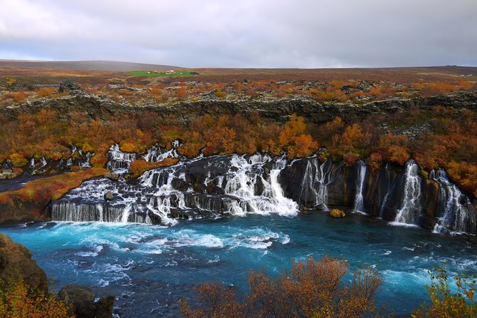 7-Day Complete Iceland: South Coast, Golden Circle, Akureyri & Snaefellsnes - Traveler Reviews