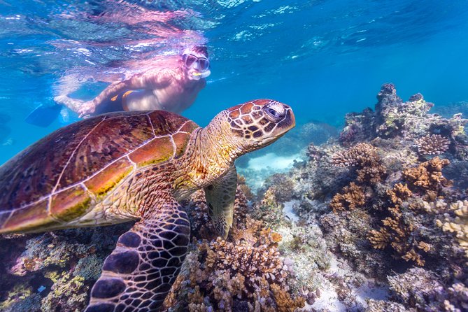 7-Day Exmouth Explorer via Pinnacles Monkey Mia Ningaloo Reef Returning to Perth - Weather Considerations