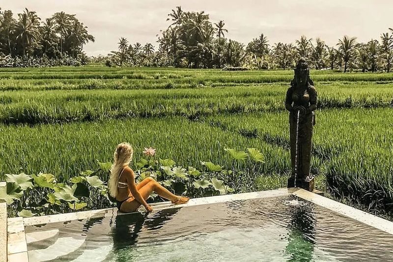 7 Day Firefly Retreat in Ubud Bali - A week that starts and ends together