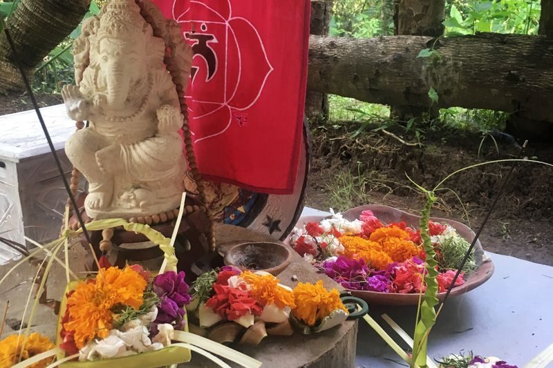 7 Day Firefly Retreat in Ubud Bali - Should you book this Ubud retreat?