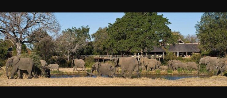 7 Day Garden Route & Addo Nat Park Tour Cape Town to Durban - Tour Duration and Price