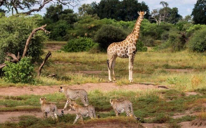 7 Day Garden Route & Addo Nat Park Tour Cape Town to Durban - Directions and Itinerary Adjustments