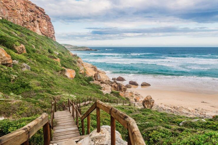 7 Day Garden Route & Addo Nat Park Tour Cape Town to Durban - Good To Know