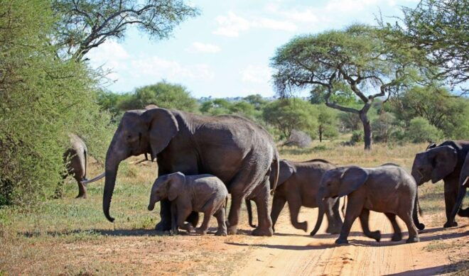 7 Day Garden Route Tour - CapeTown to Durban & Addo N Park - Reservation