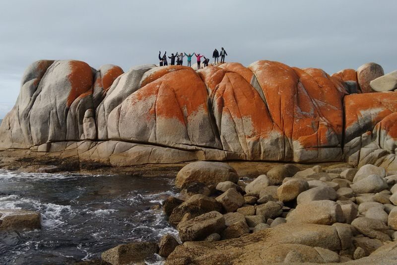 7 Day Grand Tasmania Small Group Guided Tour - A seven-day route that shows Tasmania’s range
