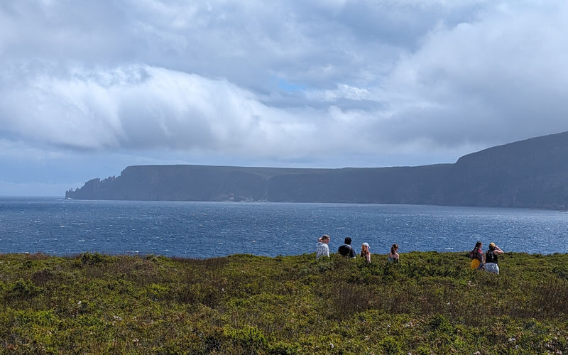 7 Day Grand Tasmania Small Group Guided Tour - Day one: Russell Falls and the road to Strahan