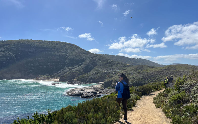 7 Day Grand Tasmania Small Group Guided Tour - Day five: Freycinet, Wineglass Bay and Cape Tourville