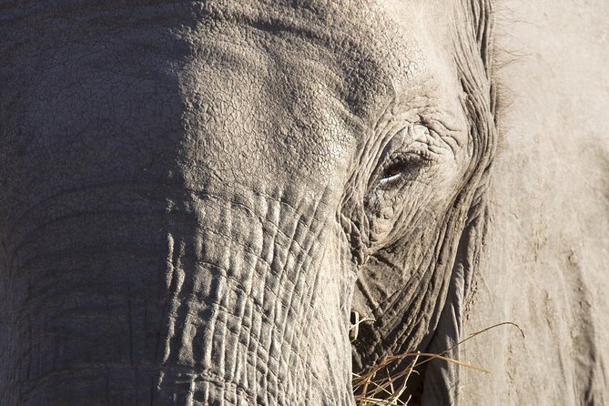 7 Day Guided Safari Tour in Kenya and Tanzania - Transportation Details