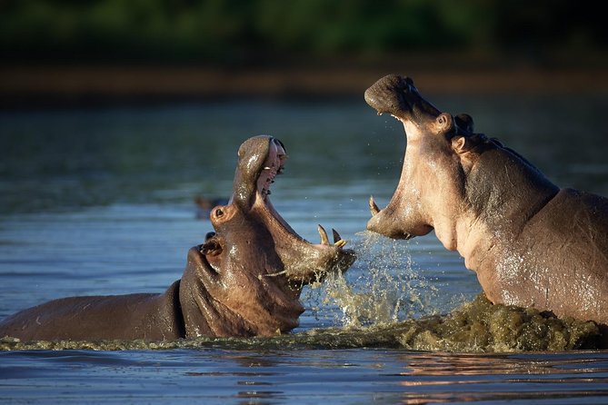 7 Day Guided Safari Tour in Kenya and Tanzania - Accommodation Information
