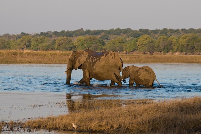 7 Day Guided Safari Tour in Kenya and Tanzania - Frequently Asked Questions