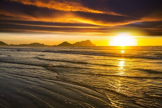 7 Day Guided Small Group Tour On Vancouver Islands West Coast - Good To Know