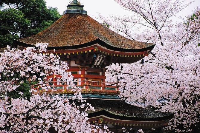 7-Day Guided Tour in Tokyo, Mount Fuji, Kyoto, Nara and Osaka - The Sum Up