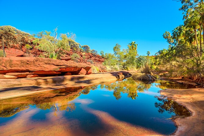 7-Day Guided Tour of Alice Springs With Accommodation Included - Inclusions and Accommodation