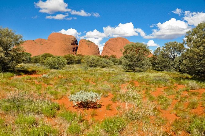 7-Day Guided Tour of Alice Springs With Accommodation Included - Daily Itinerary Details