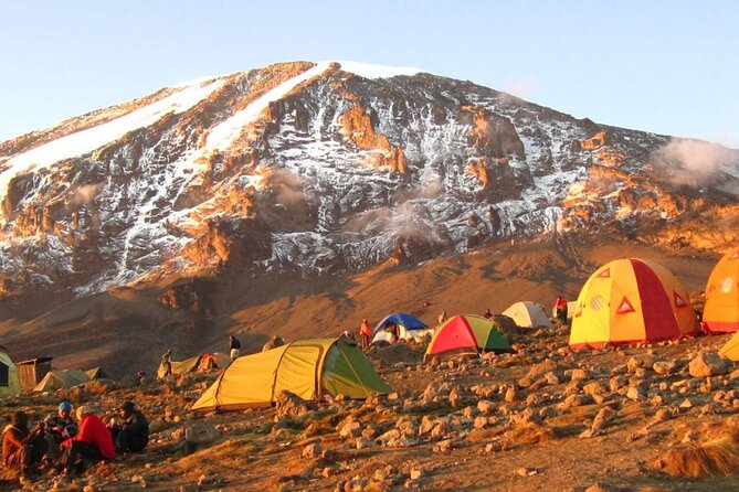 7 Day: Hiking Kilimanjaro via Lemosho Route - Itinerary Highlights