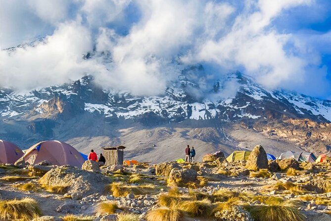 7 Day: Hiking Kilimanjaro via Lemosho Route - Expert Guides and Support Crew