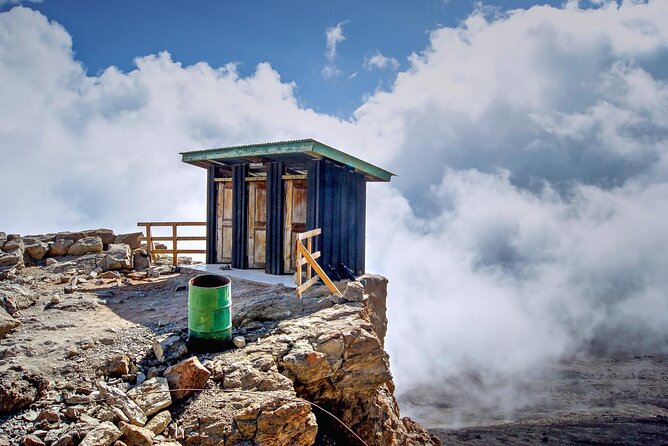 7 Day: Hiking Kilimanjaro via Lemosho Route - Reviews and Testimonials