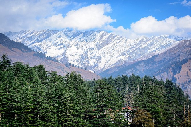 7 Day Hills Station Tour of Shimla Kullu- Manali From Chandigarh - Activity Options