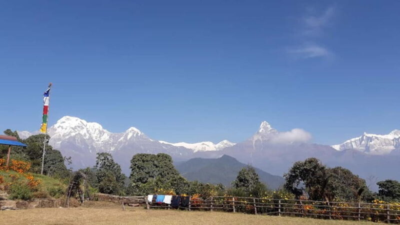 7 Day Himalayan Highlights: Culture, Mountain, Jungle Safari - Day 7: Return to Kathmandu and Departure  