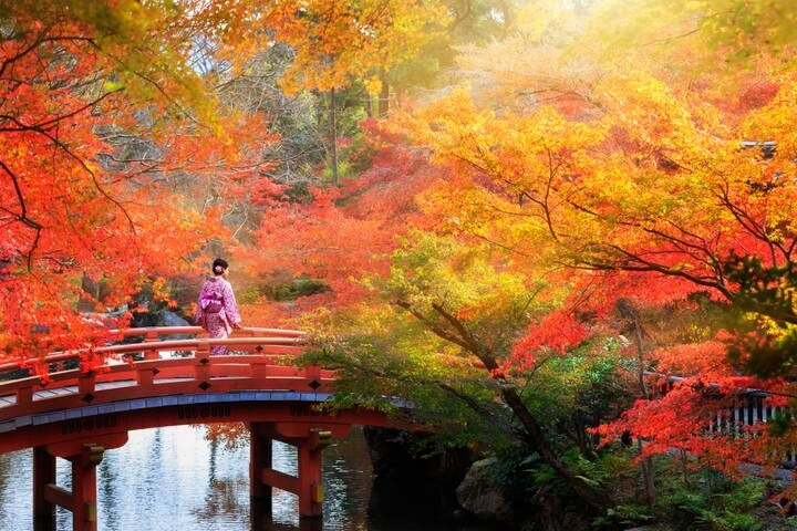 7-Day Japan Delight: Tokyo, Mt. Fuji, Kyoto by Intertrips - Key points to know before booking