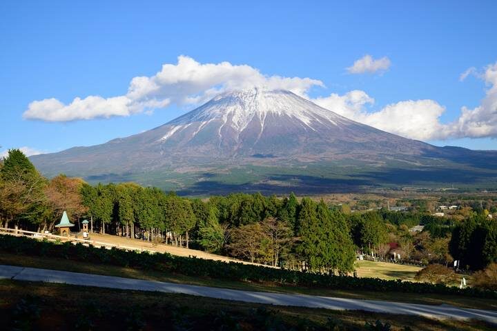 7-Day Japan Delight: Tokyo, Mt. Fuji, Kyoto by Intertrips - Day 3: Hakone’s ropeway and Lake Ashi