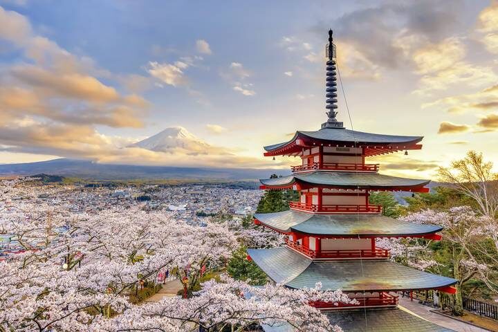 7-Day Japan Delight: Tokyo, Mt. Fuji, Kyoto by Intertrips - Day 4: Kyoto, with temples available as an add-on