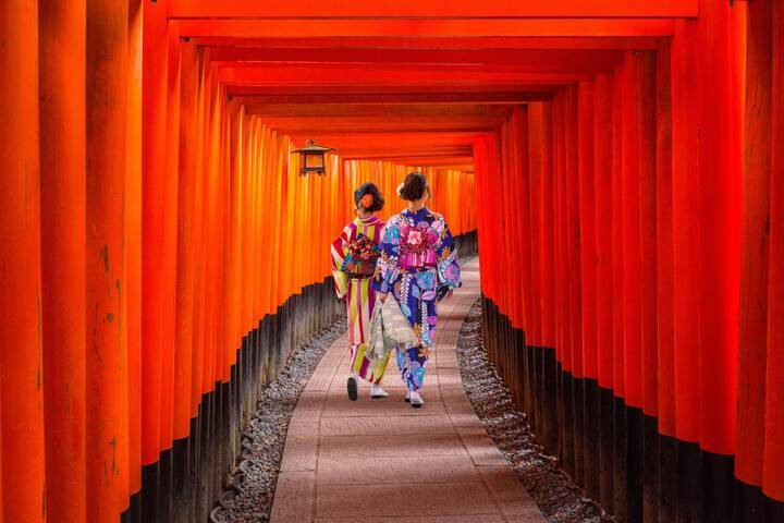 7-Day Japan Delight: Tokyo, Mt. Fuji, Kyoto by Intertrips - Hotels, meals and the real cost